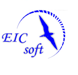 EICSOFT web design company, Toronto
